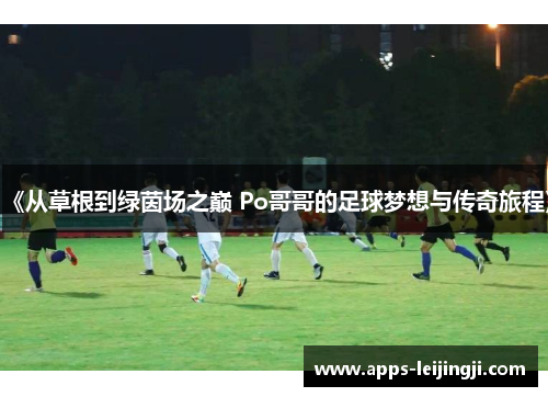 《从草根到绿茵场之巅 Po哥哥的足球梦想与传奇旅程》