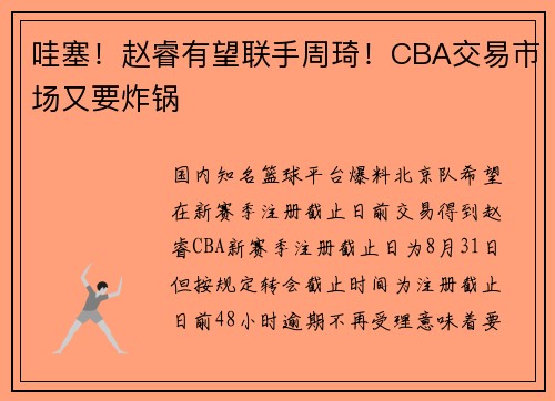 哇塞！赵睿有望联手周琦！CBA交易市场又要炸锅