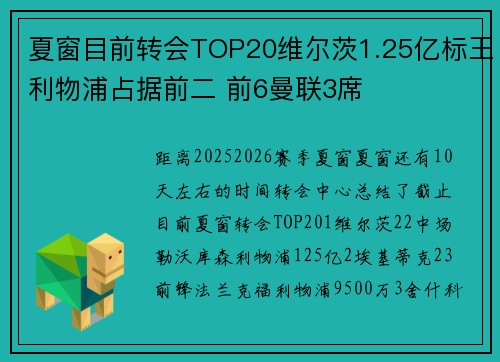 夏窗目前转会TOP20维尔茨1.25亿标王利物浦占据前二 前6曼联3席